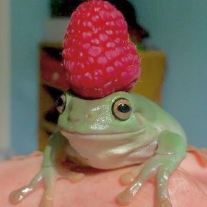 Meet your Posher, Catherine